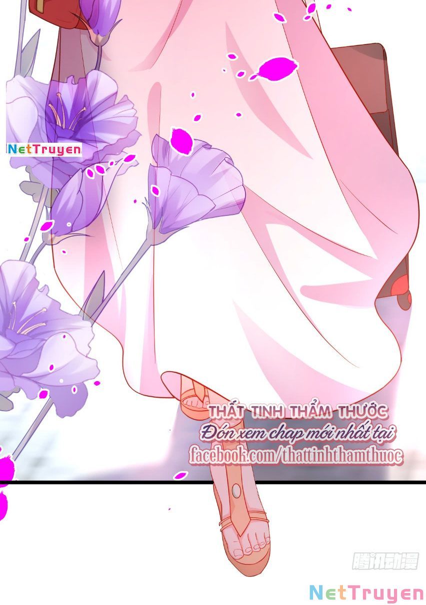 Hắc Đạo Đáng Yêu Chapter 49 - 44