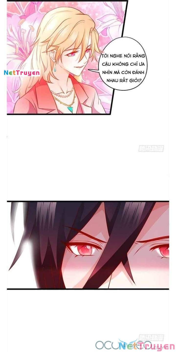 Hắc Đạo Đáng Yêu Chapter 50 - 12