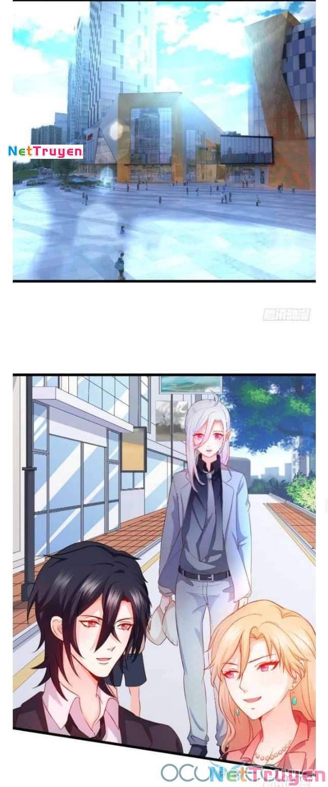 Hắc Đạo Đáng Yêu Chapter 50 - 17