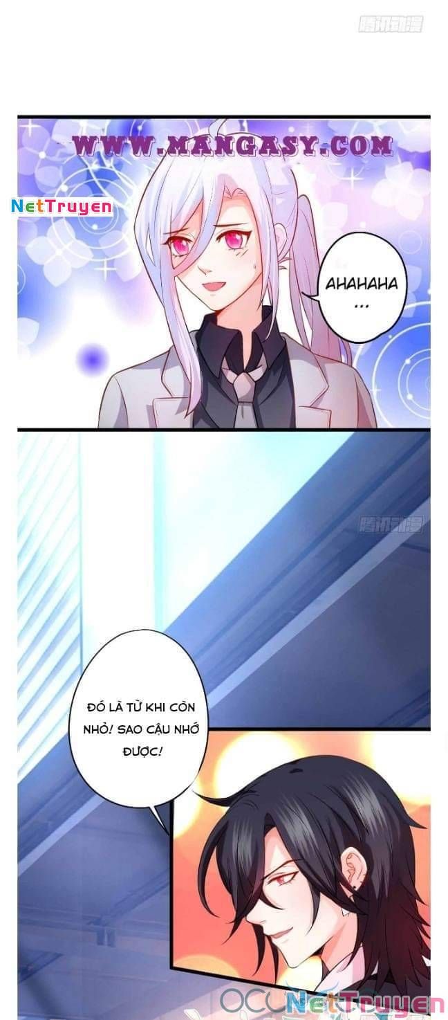 Hắc Đạo Đáng Yêu Chapter 50 - 20