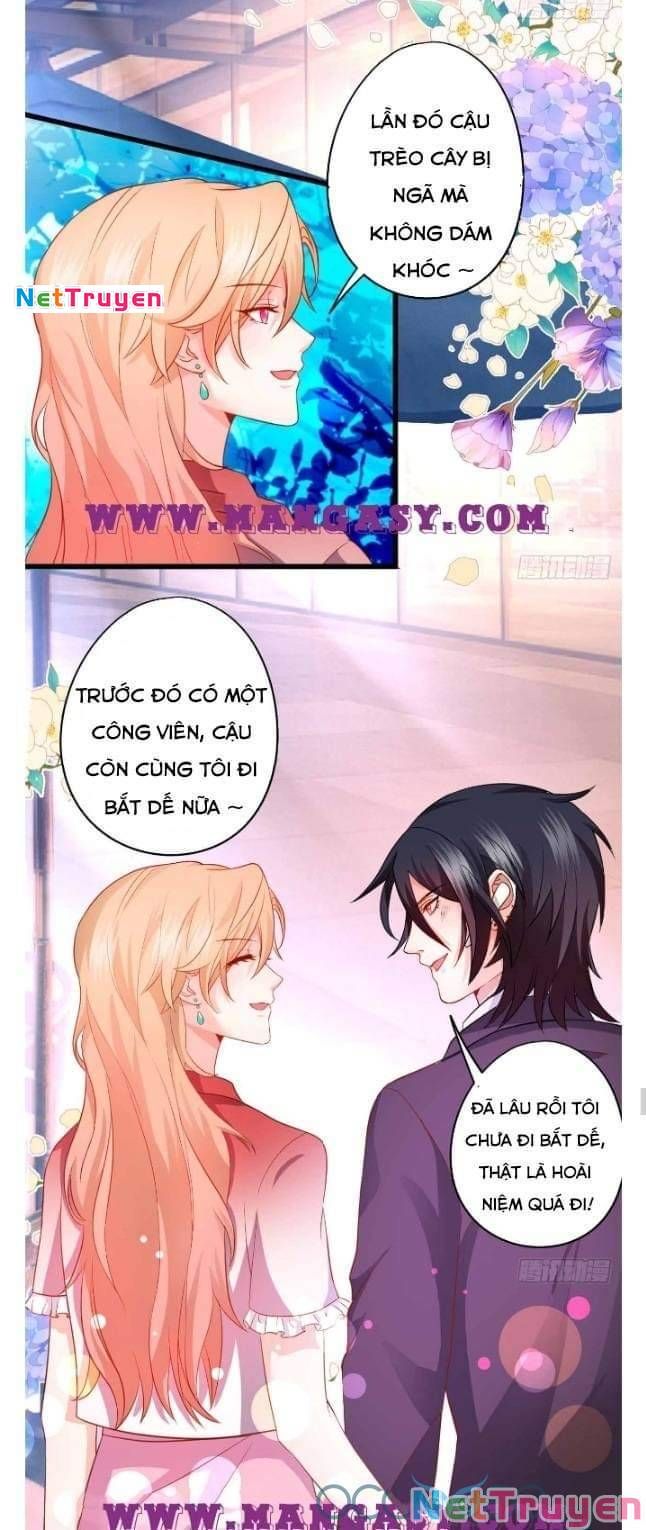 Hắc Đạo Đáng Yêu Chapter 50 - 21