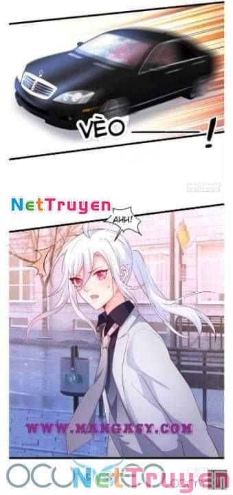 Hắc Đạo Đáng Yêu Chapter 50 - 27