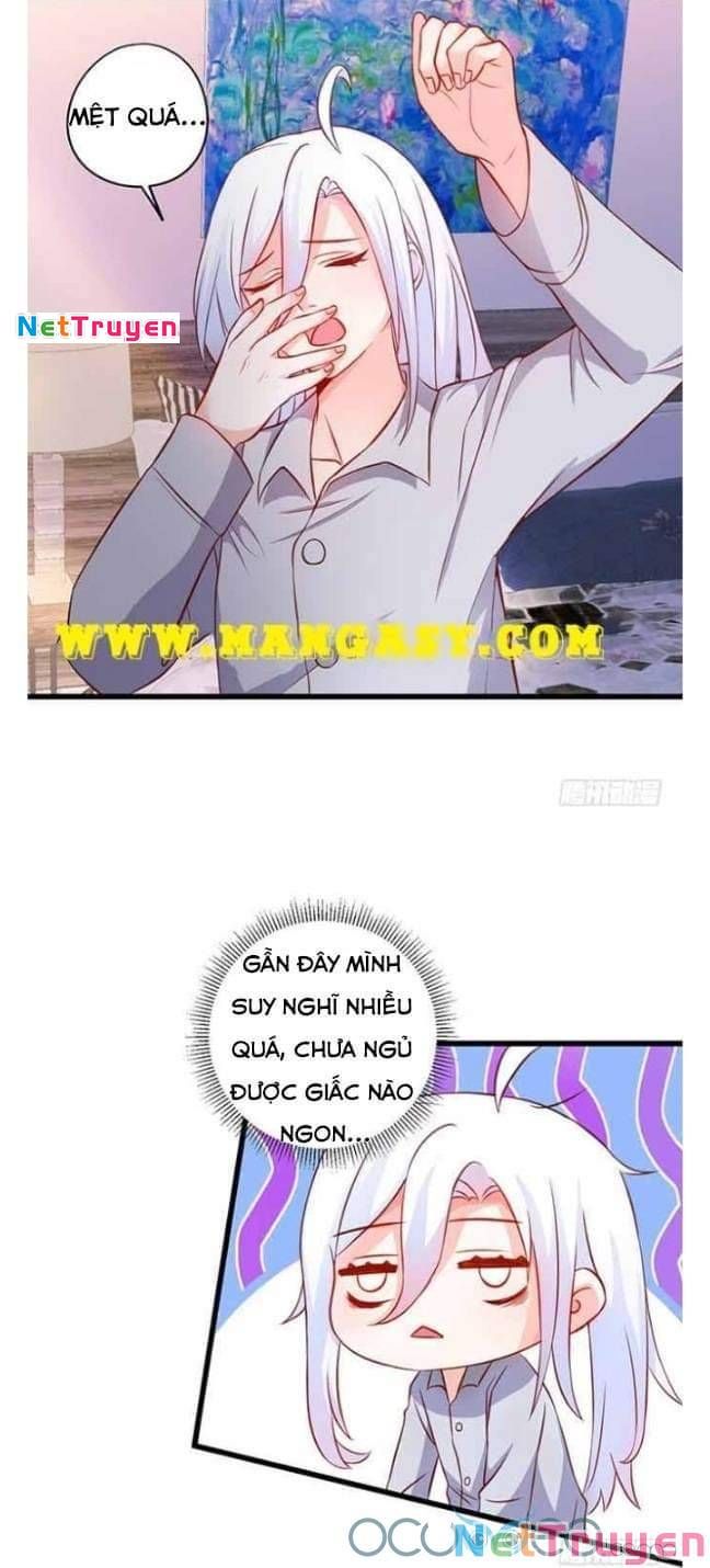 Hắc Đạo Đáng Yêu Chapter 50 - 4