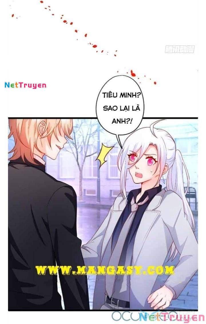 Hắc Đạo Đáng Yêu Chapter 50 - 31
