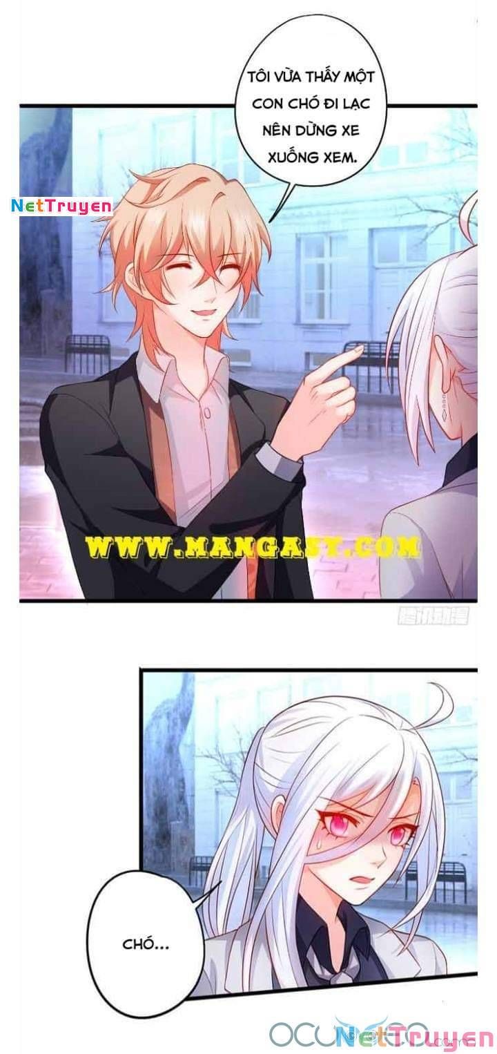 Hắc Đạo Đáng Yêu Chapter 50 - 33