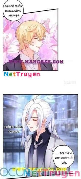 Hắc Đạo Đáng Yêu Chapter 50 - 34