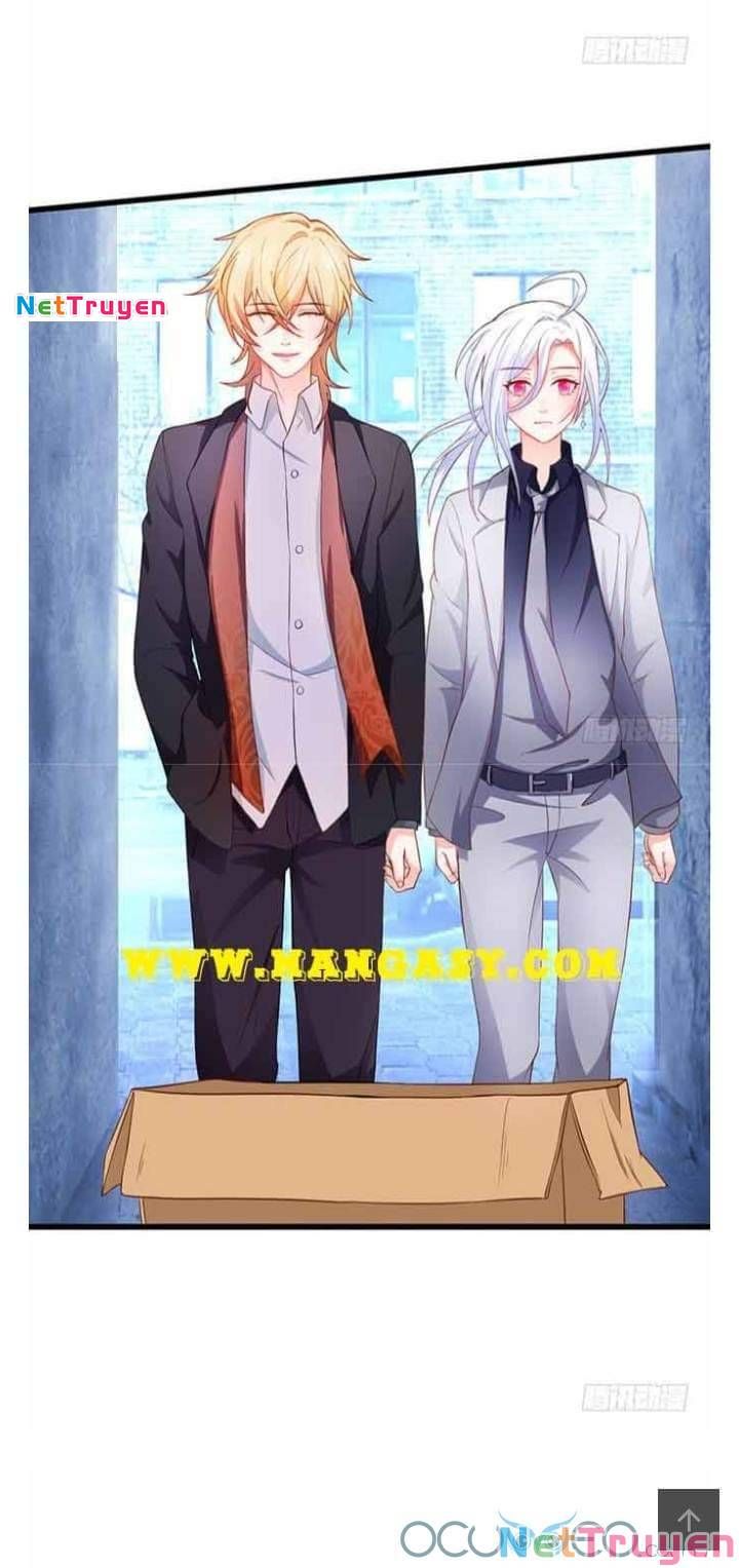 Hắc Đạo Đáng Yêu Chapter 50 - 35