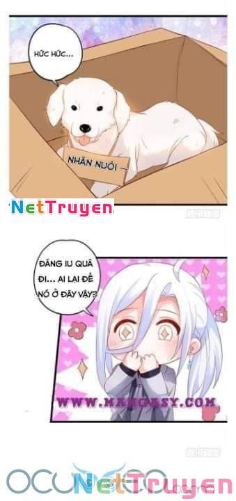 Hắc Đạo Đáng Yêu Chapter 50 - 36