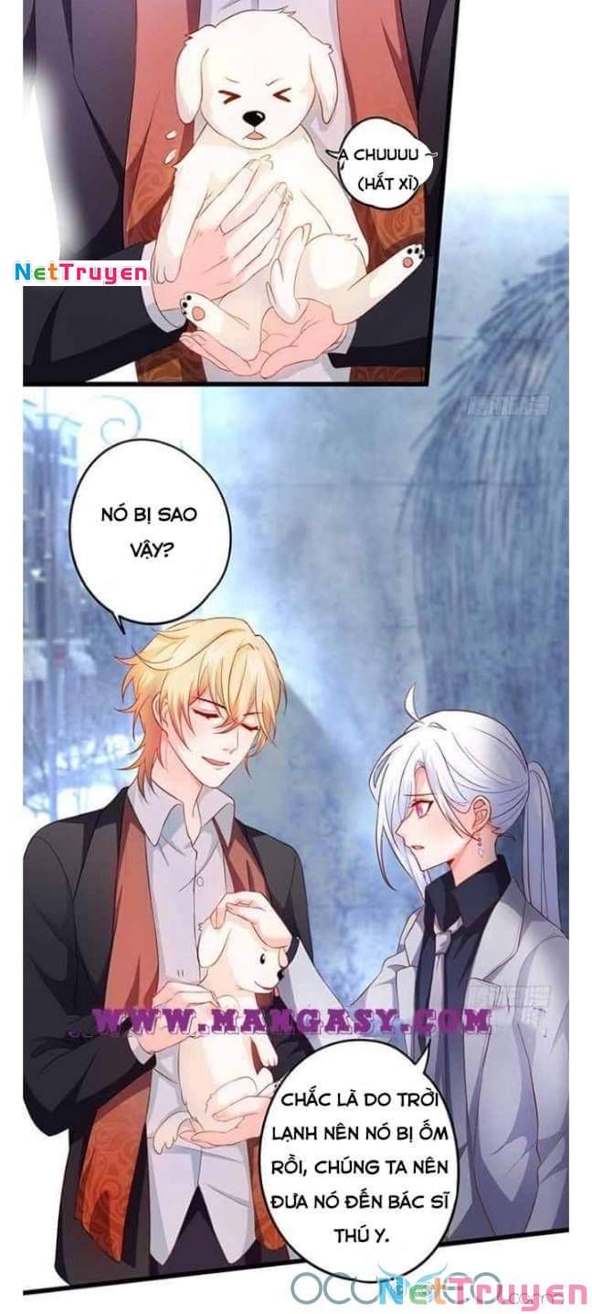 Hắc Đạo Đáng Yêu Chapter 50 - 37