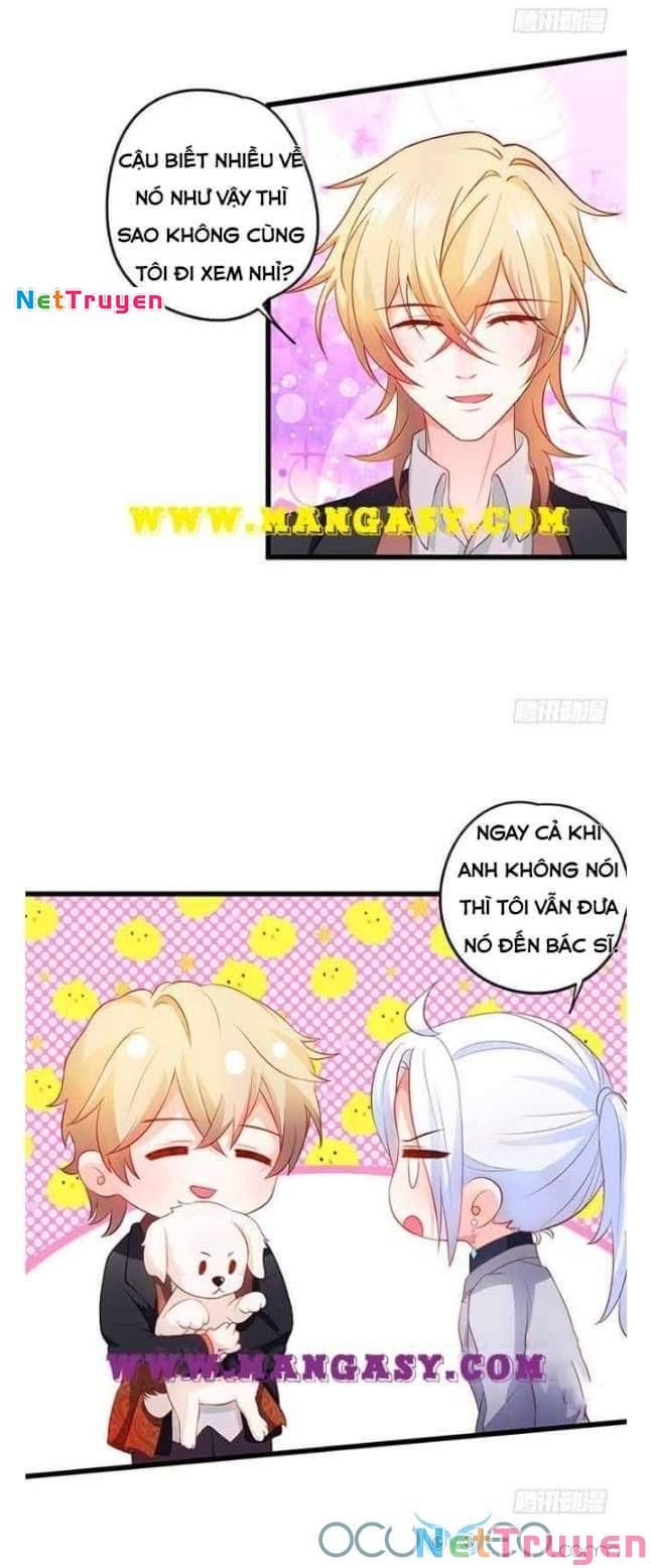 Hắc Đạo Đáng Yêu Chapter 50 - 38
