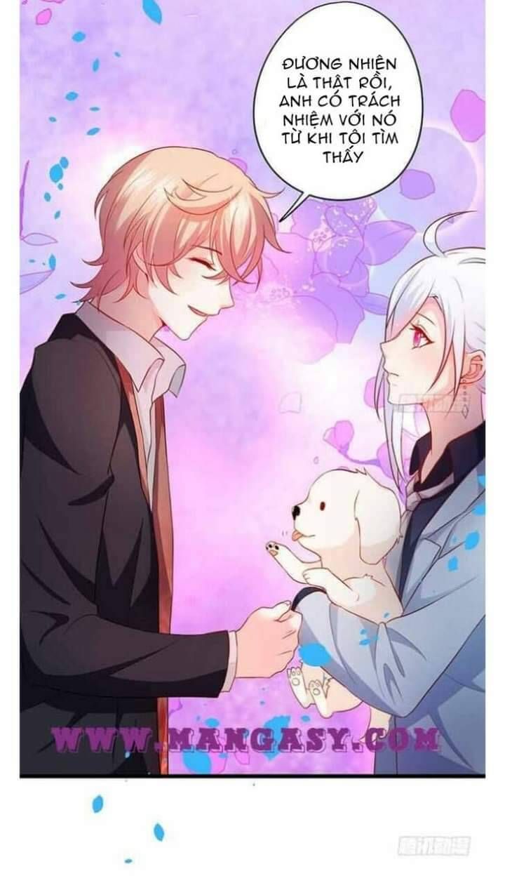 Hắc Đạo Đáng Yêu Chapter 51 - 11