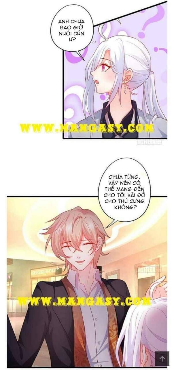 Hắc Đạo Đáng Yêu Chapter 51 - 13