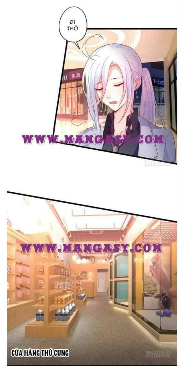 Hắc Đạo Đáng Yêu Chapter 51 - 14