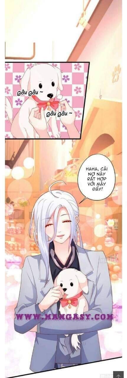 Hắc Đạo Đáng Yêu Chapter 51 - 15