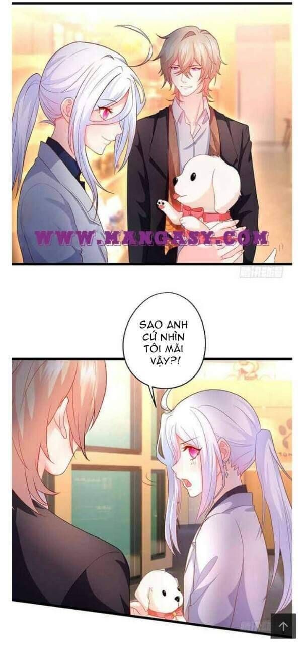 Hắc Đạo Đáng Yêu Chapter 51 - 17