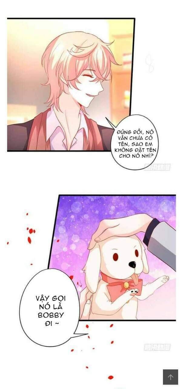 Hắc Đạo Đáng Yêu Chapter 51 - 23