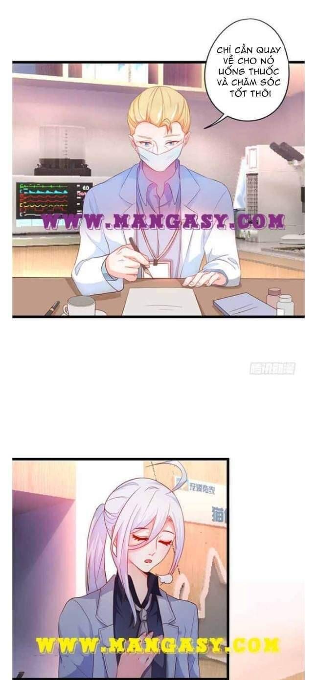 Hắc Đạo Đáng Yêu Chapter 51 - 5