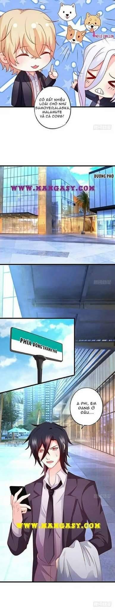 Hắc Đạo Đáng Yêu Chapter 57 - 11