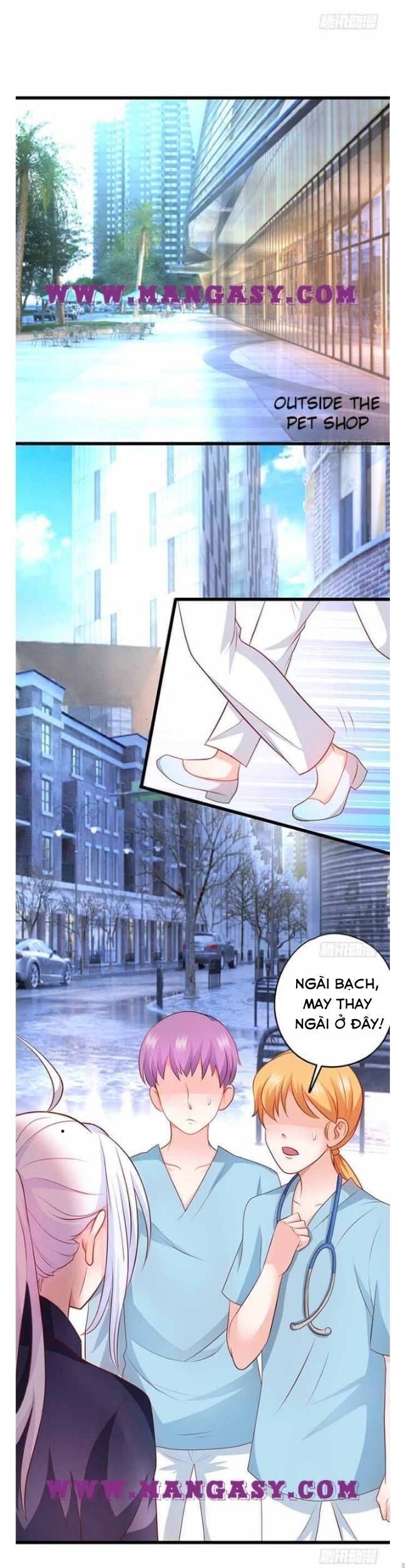 Hắc Đạo Đáng Yêu Chapter 59 - 5