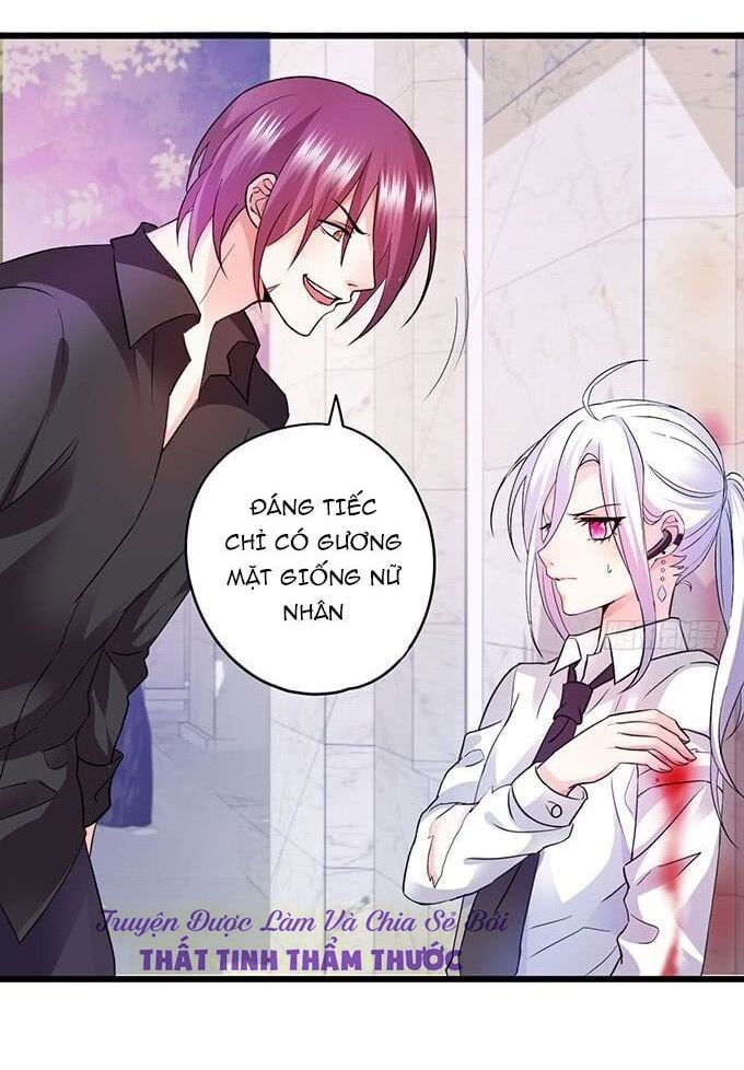 Hắc Đạo Đáng Yêu Chapter 6 - 72