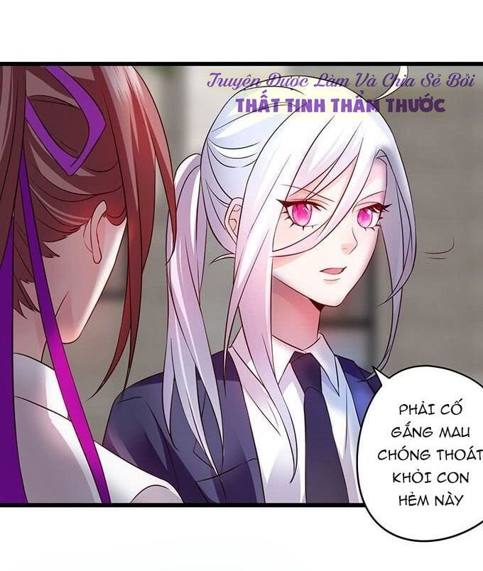 Hắc Đạo Đáng Yêu Chapter 6 - 9
