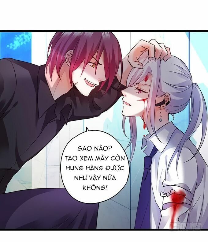 Hắc Đạo Đáng Yêu Chapter 7 - 19