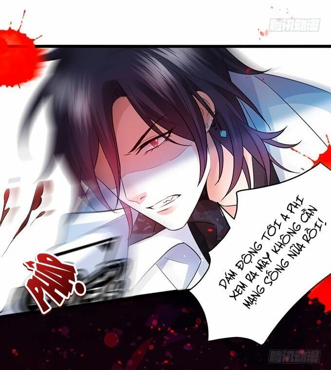 Hắc Đạo Đáng Yêu Chapter 7 - 29