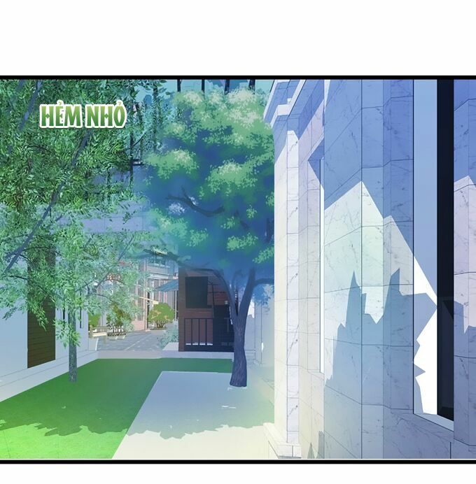 Hắc Đạo Đáng Yêu Chapter 7 - 6