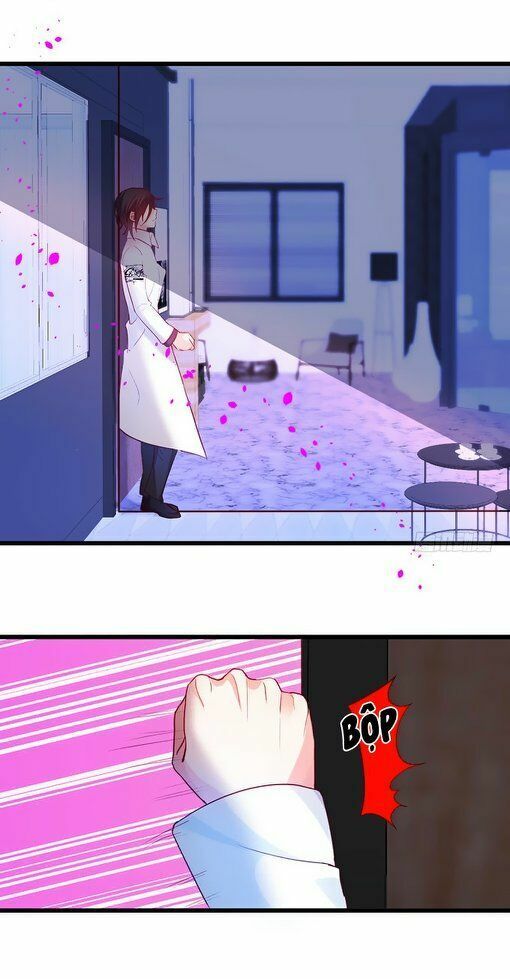 Hắc Đạo Đáng Yêu Chapter 8 - 14