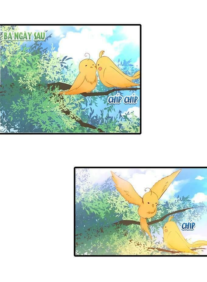 Hắc Đạo Đáng Yêu Chapter 8 - 23