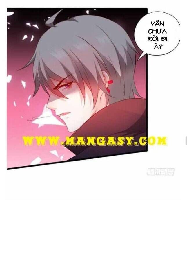 Hắc Đạo Đáng Yêu Chapter 80 - 31