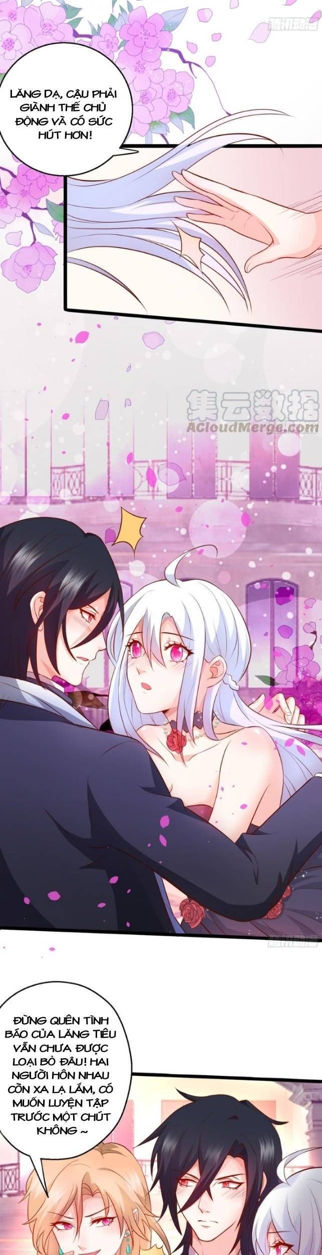 Hắc Đạo Đáng Yêu Chapter 81 - 17