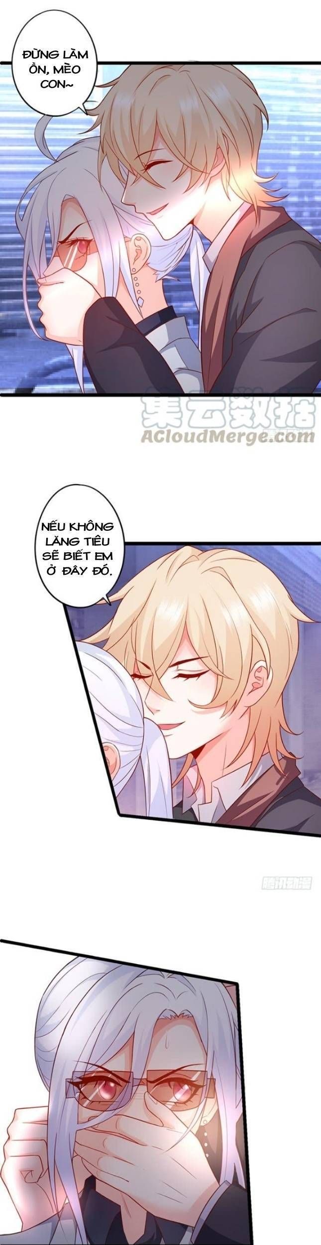 Hắc Đạo Đáng Yêu Chapter 99 - 16