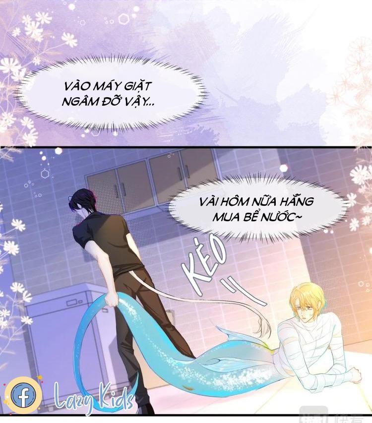 Nhân Ngư Sa Ngã Chapter 3 - 15