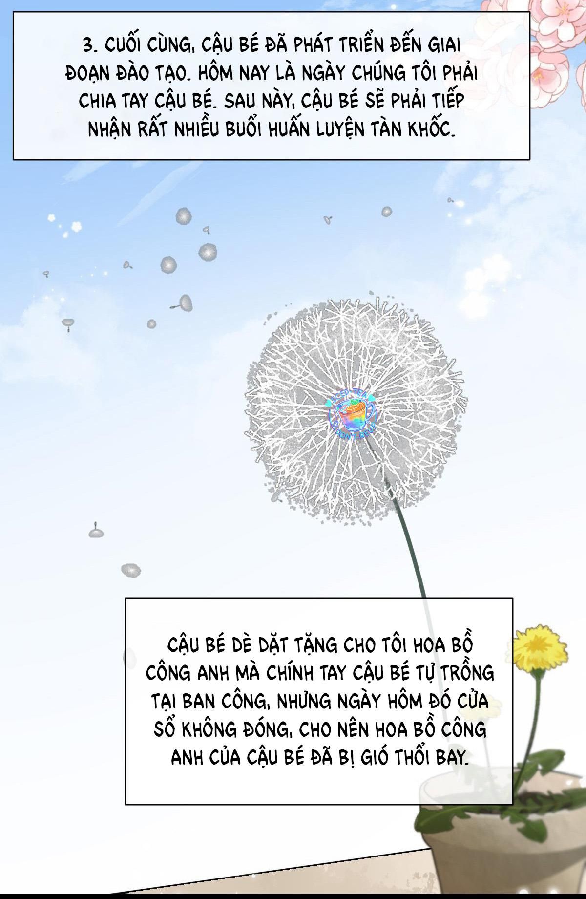 Nhân Ngư Sa Ngã Chapter 36 - 11