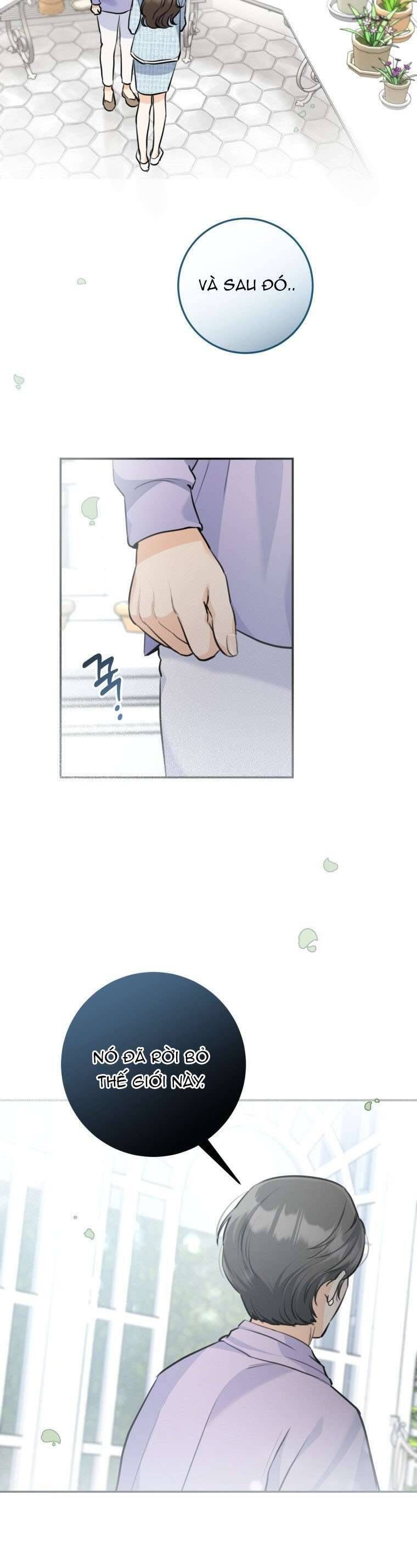 Chuyện Kết Hôn Chapter 31 - 28