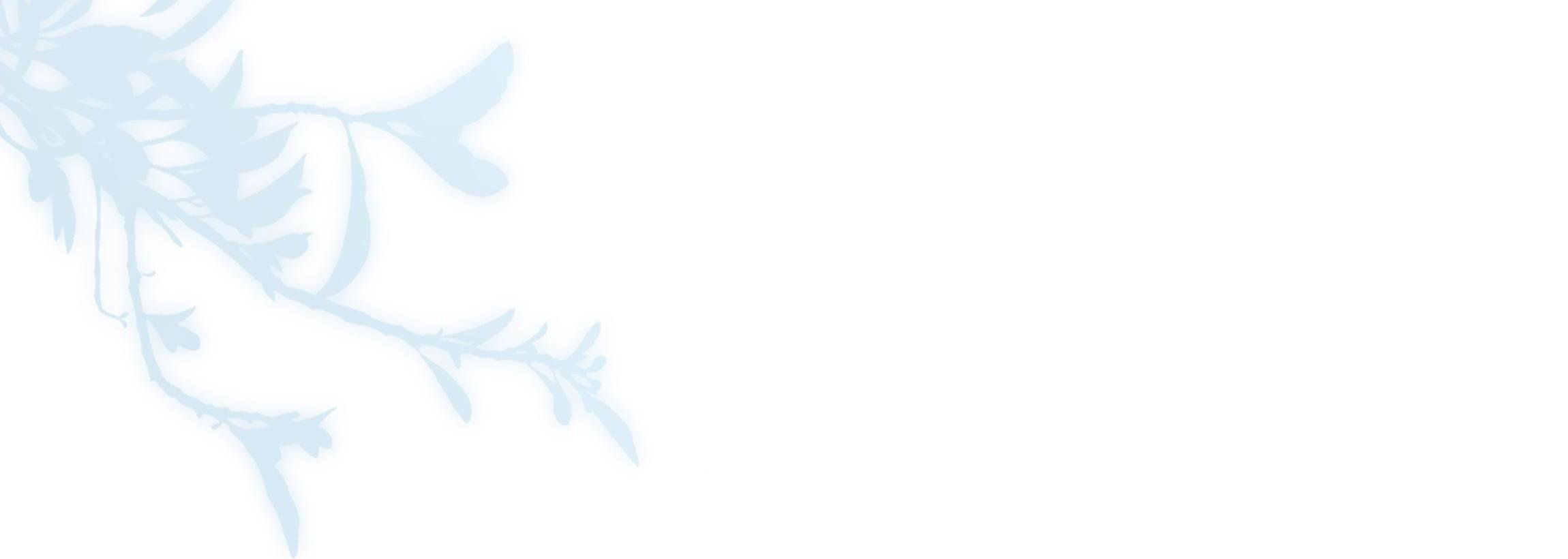 Trường Cấp Ba Sơn Hải Chapter 24 - 49