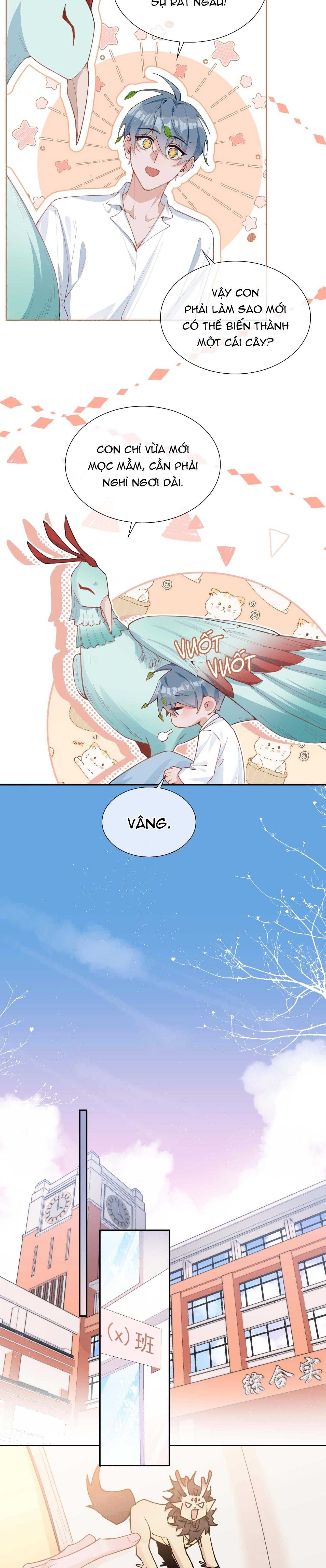 Trường Cấp Ba Sơn Hải Chapter 95 - 19