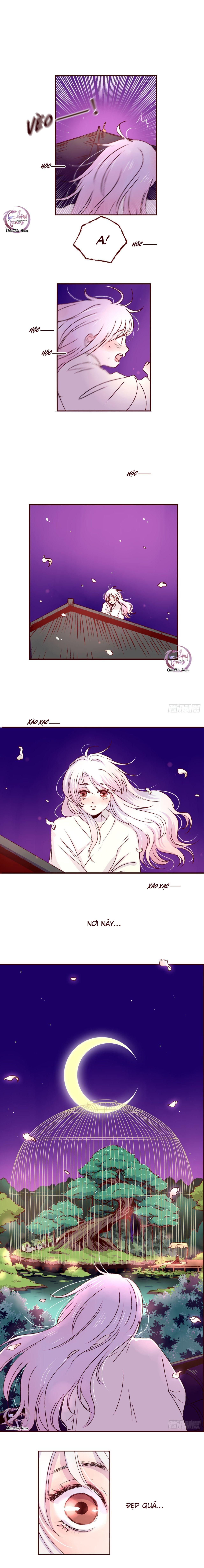 Đóa Hoa Quỷ Dữ Chapter 3 - 2