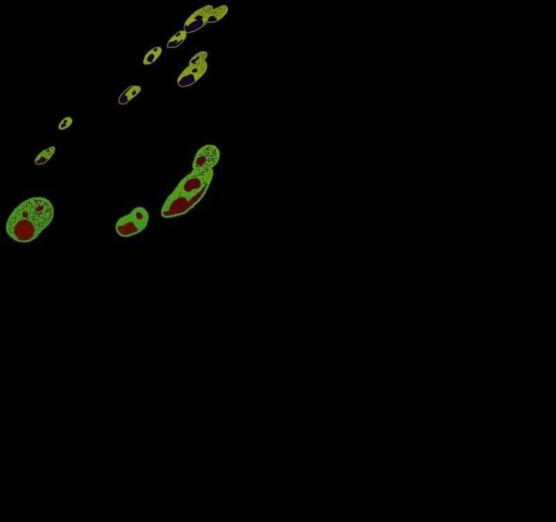 Truyện Ngôn Nhưng Không Ngôn Lắm Chapter 111 - 10