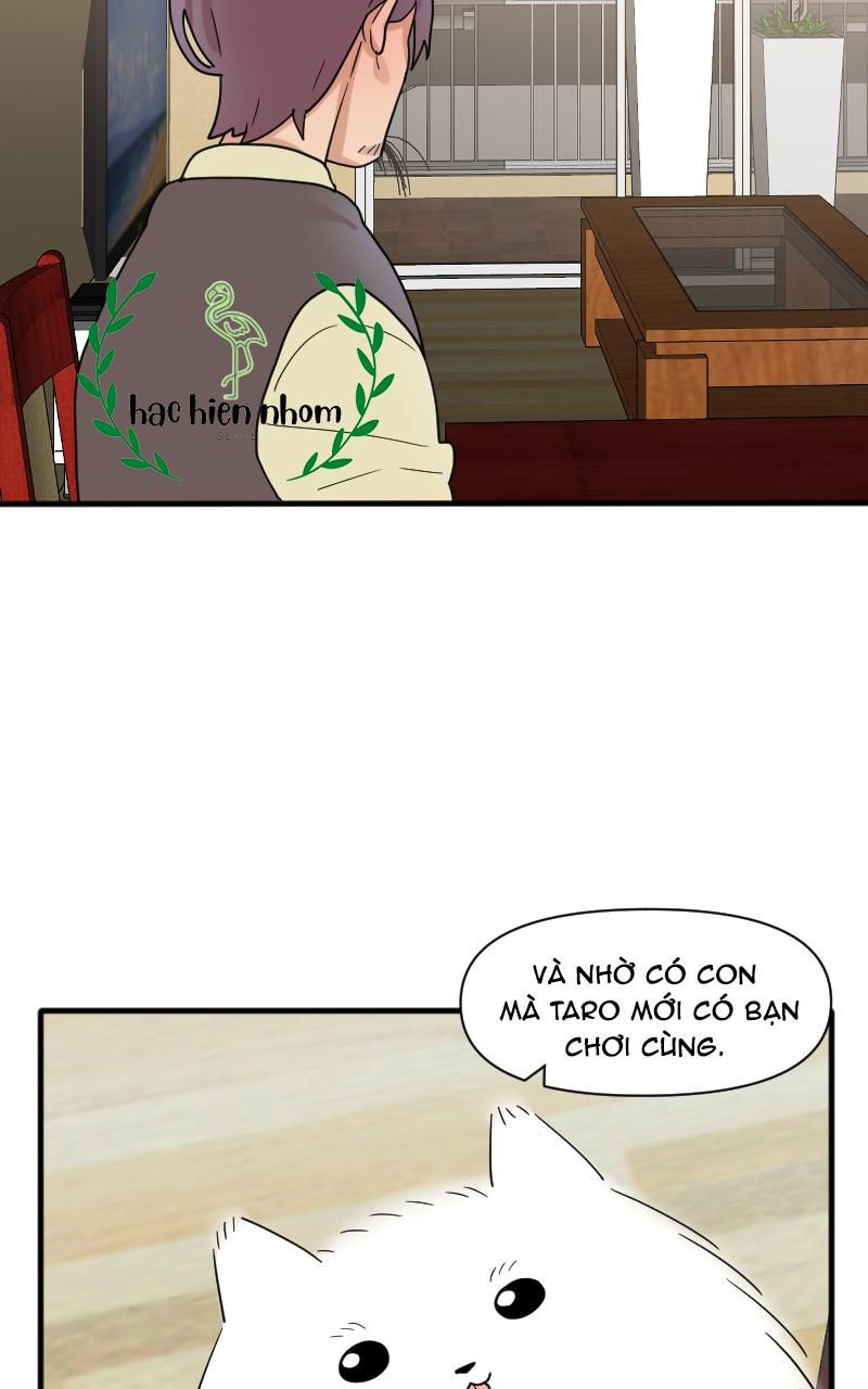 Truyện Ngôn Nhưng Không Ngôn Lắm Chapter 26 - 24