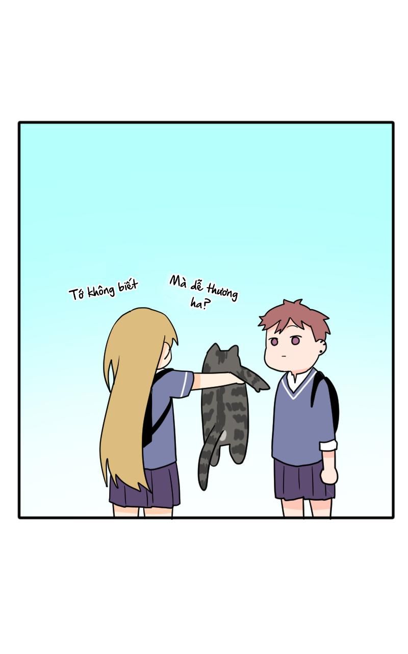 Truyện Ngôn Nhưng Không Ngôn Lắm Chapter 29 - 38