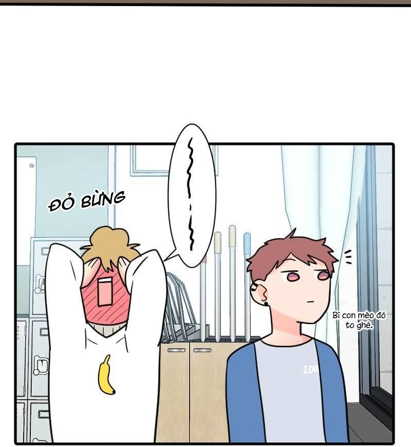 Truyện Ngôn Nhưng Không Ngôn Lắm Chapter 38 - 63