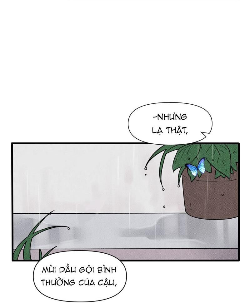 Truyện Ngôn Nhưng Không Ngôn Lắm Chapter 58 - 99