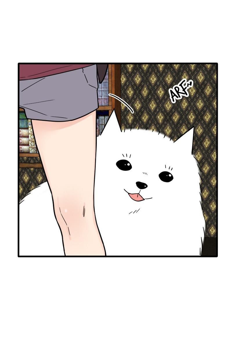 Truyện Ngôn Nhưng Không Ngôn Lắm Chapter 59 - 12