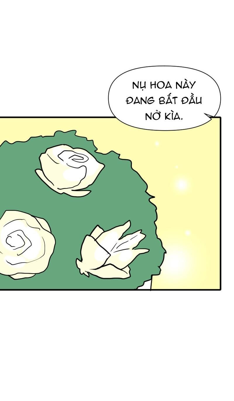 Truyện Ngôn Nhưng Không Ngôn Lắm Chapter 62 - 103