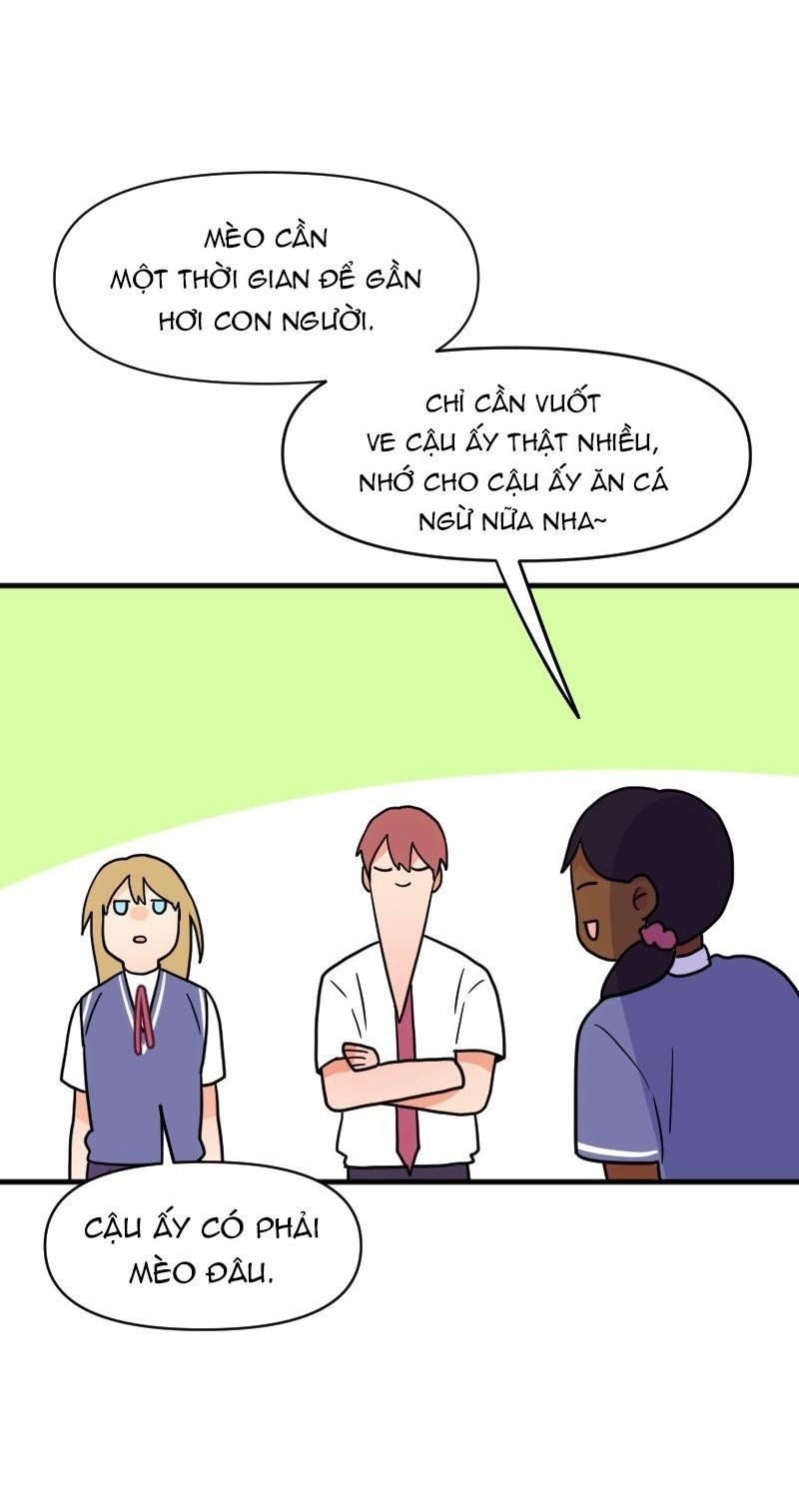 Truyện Ngôn Nhưng Không Ngôn Lắm Chapter 64 - 47