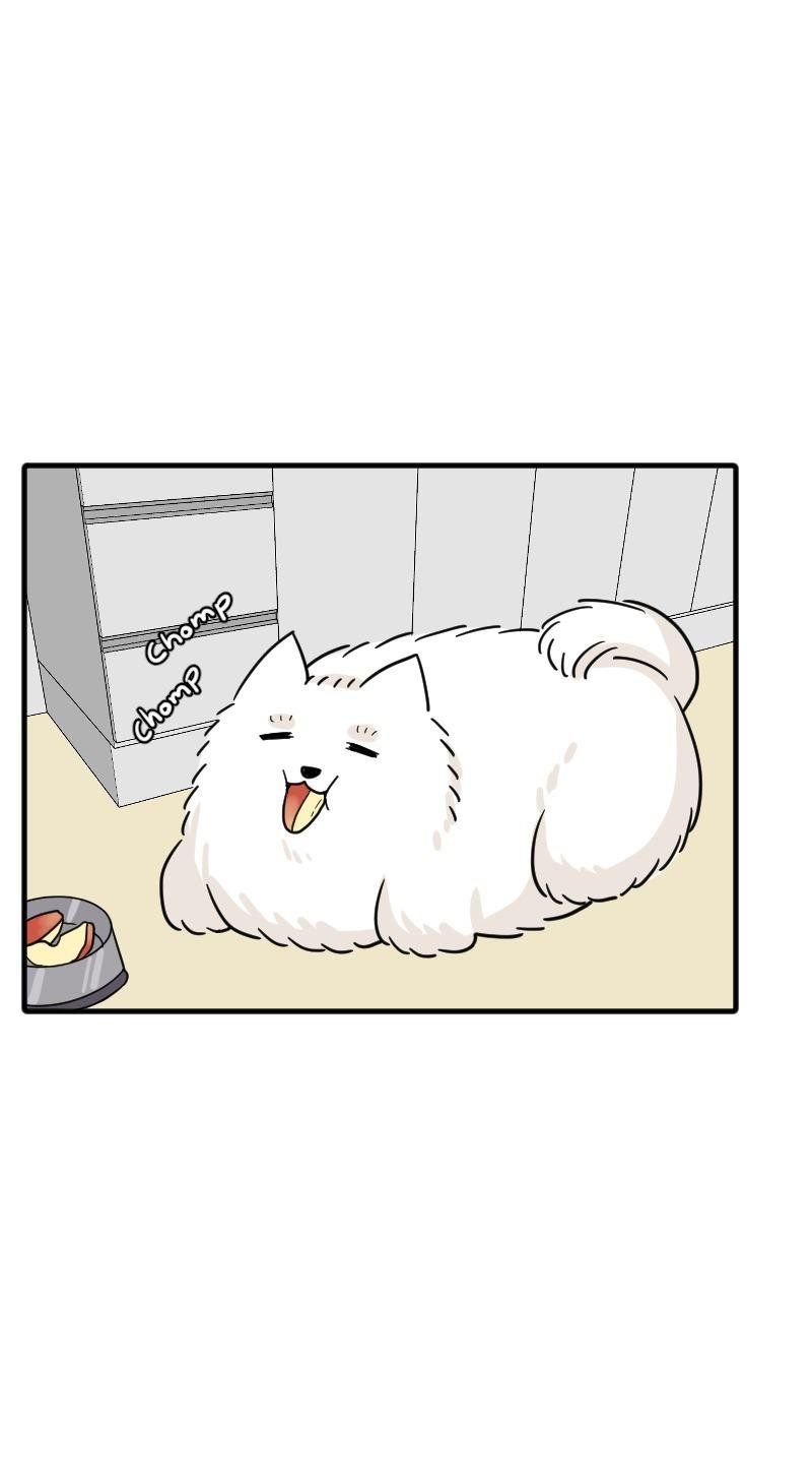 Truyện Ngôn Nhưng Không Ngôn Lắm Chapter 68 - 99