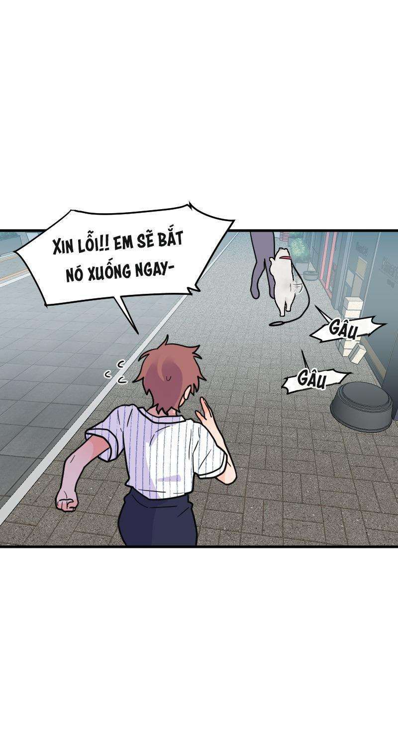 Truyện Ngôn Nhưng Không Ngôn Lắm Chapter 69 - 82