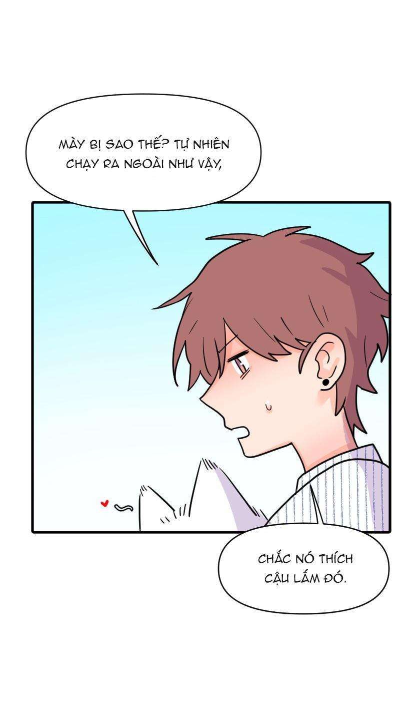 Truyện Ngôn Nhưng Không Ngôn Lắm Chapter 69 - 93